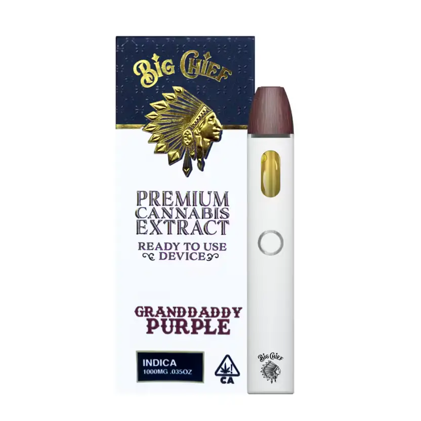 big-chief-dispo-1.webp