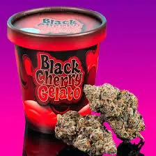 black cherry gelato strain